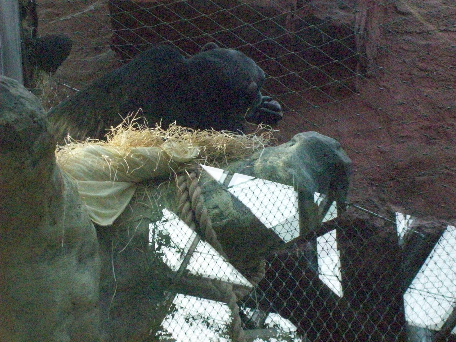 Zoom 18.10.2008-200.jpg